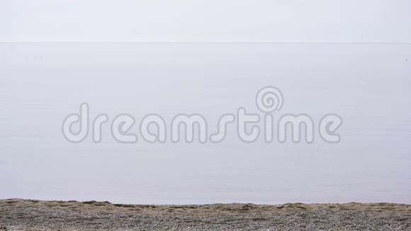 暴风雨中海鸥飞过海面视频的预览图