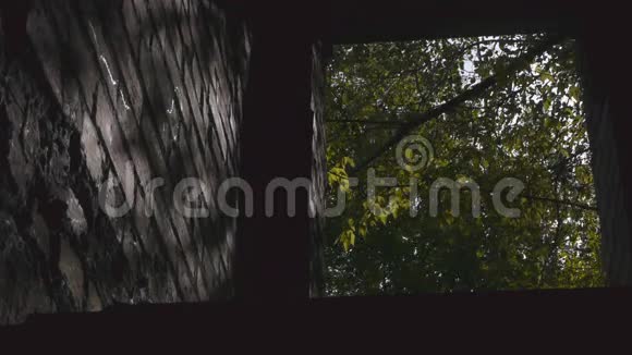 从地下室到森林通过门道的景观视频的预览图