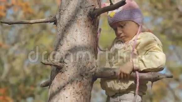 戴帽子的小女孩坐在树上视频的预览图