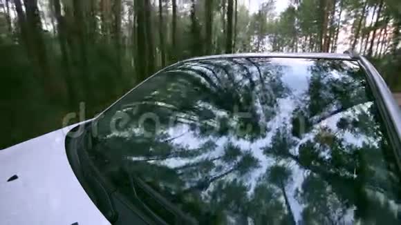 树倒在车窗上挡风玻璃反射汽车在乡间公路上行驶视频的预览图