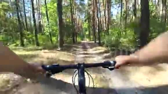 夏天的下午阳光明媚一个骑自行车的人骑在松林里视频的预览图