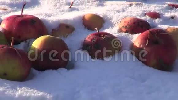 在阳光明媚的冬日早晨白雪覆盖着桌上的红苹果视频的预览图