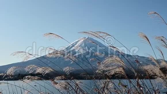 日本川川子湖富士山景观视频的预览图