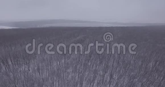 镜头飞过覆盖着白雪的森林朝着大片冰封的湖面雾视频的预览图