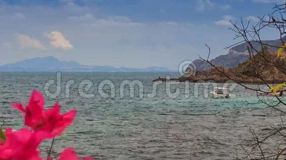 海景山对山前景粉红色花朵视频的预览图