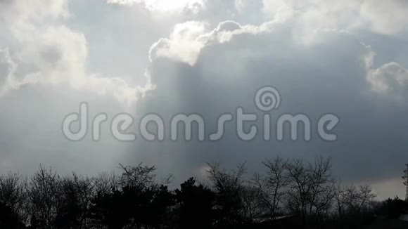 高高的云层覆盖着太阳的天空树枝树木森林剪影视频的预览图