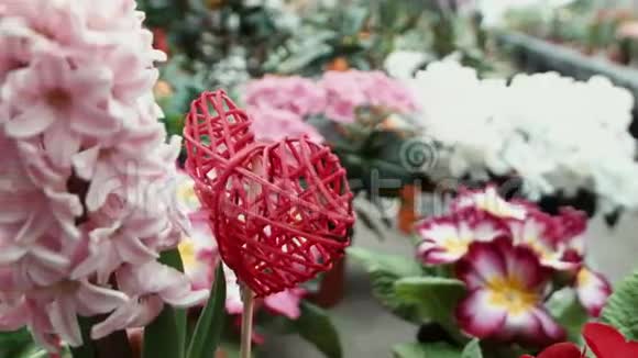多彩花中的装饰心视频的预览图
