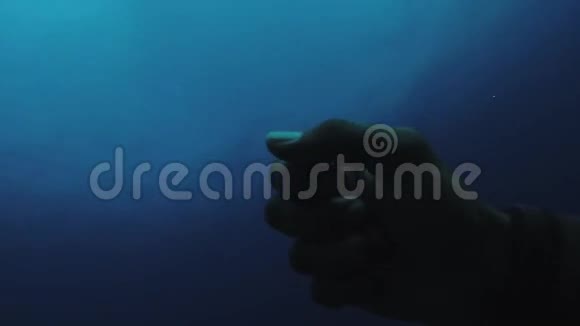 潜水员在水下游泳看看手蓝色干净的海洋深度极端嗜好视频的预览图