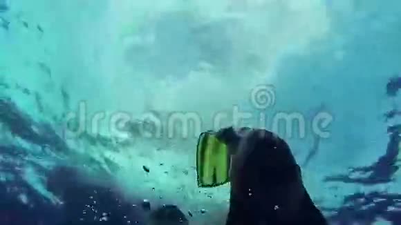 潜水员穿着鳍在水下游泳很多泡泡蓝色干净的海洋潜水衣视频的预览图