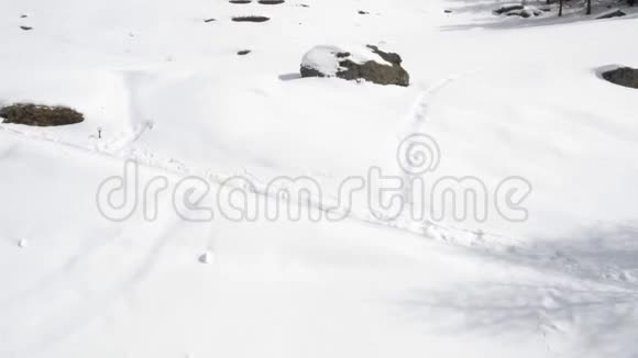 冬季空中无人驾驶飞机在冰雪覆盖的森林山谷中建立了一个户外的山地雪视频的预览图