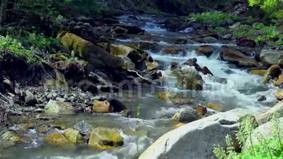小山河景观溪流在岩石和树木之间流动视频的预览图