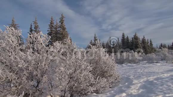 泛景区冬季景观视频的预览图