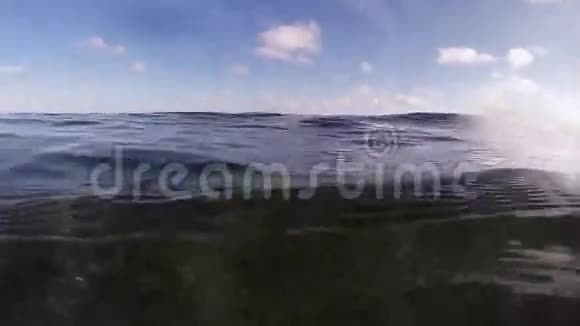 潜水员在海洋中游泳潜入水下热带珊瑚礁动物波浪视频的预览图