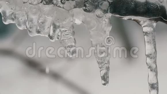 初春树枝上融化的滴水冰柱宏观特写透明美丽的冰柱融化视频的预览图