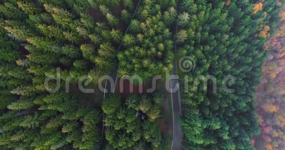 空中俯视汽车行驶在簪弯转弯路上的乡村秋林橙色绿色视频的预览图