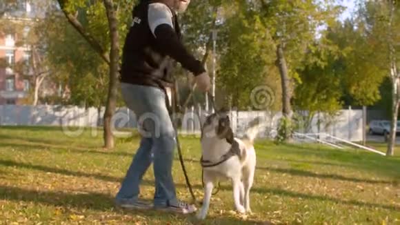 在公园里玩狗的人视频的预览图