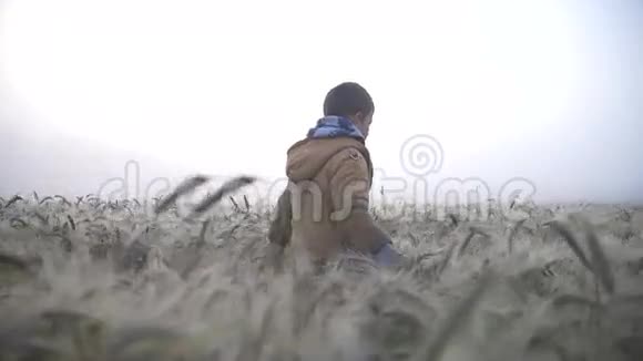 黎明时分男孩走在金色的田野上露水雨天慢动作视频的预览图