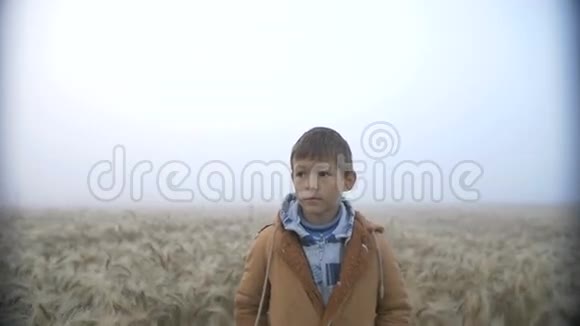 黎明时分男孩走在金色的田野上露水雨天慢动作视频的预览图