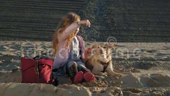 海滩上的女孩学龄前女孩喂狗春天视频的预览图