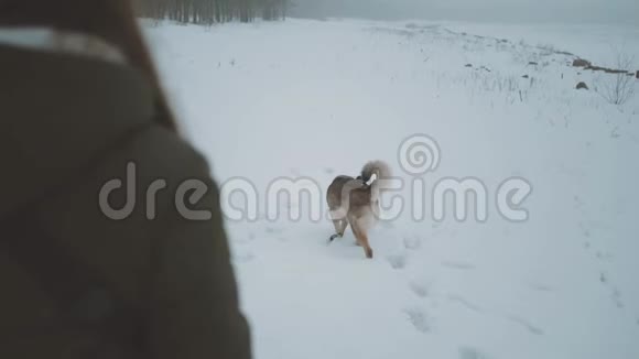 冬天的雪假年轻女子带着混种狗靠近冰冻的河流后景森林里多雾的多云天气视频的预览图