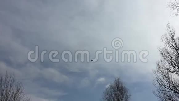 鹤鸟鹭在天空飞翔大自然的春天视频的预览图