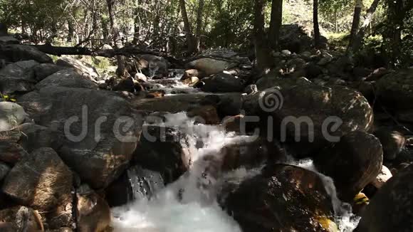 俄罗斯阿尔泰的山涧流过石头视频的预览图