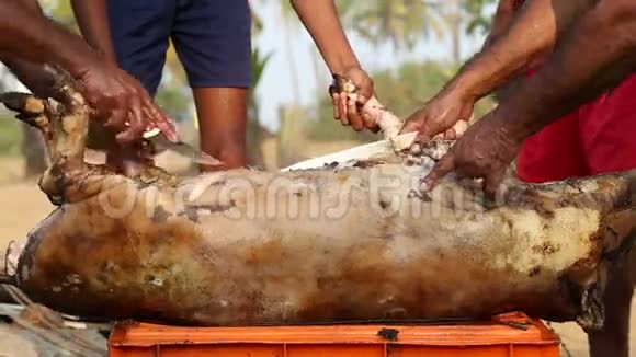 在果阿的海滩上人们割死动物的皮视频的预览图