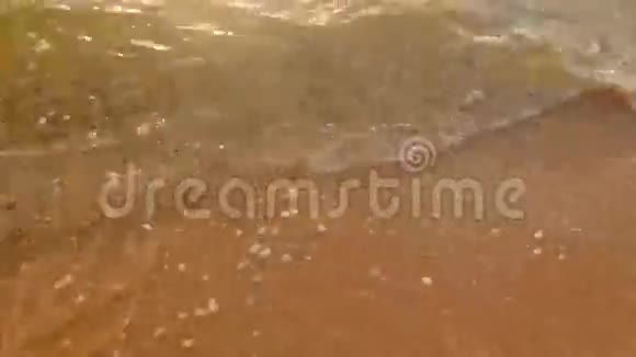 沙滩上海水的柔波透明的浅水视频的预览图