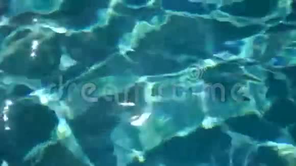 池底清水倒影抽象纹理视频的预览图