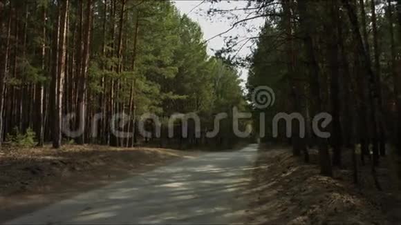 森林中的道路消失在远处视频的预览图