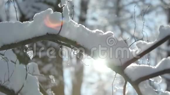 圣诞气氛神奇的冬天晨霜视频的预览图