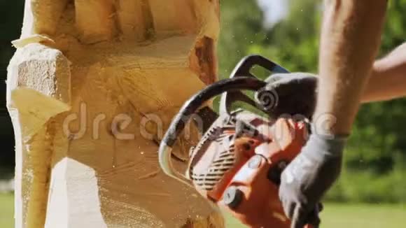 一个人用电锯雕刻一个木制雕像视频的预览图