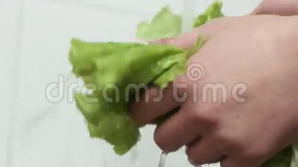 生菜叶子的特写镜头被洗在厨房的水槽里视频的预览图