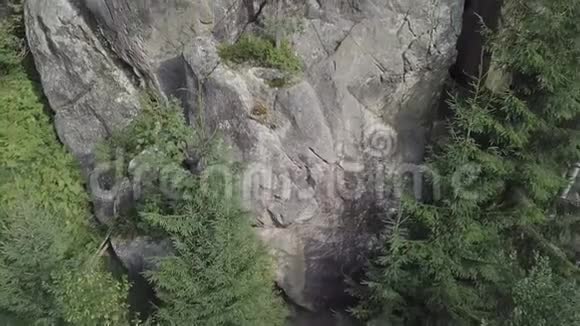 石岩TernoshorskaLada在美丽的喀尔巴阡山森林中视频的预览图