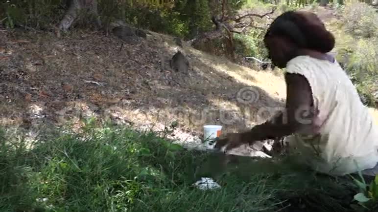 生物水培过滤系统视频的预览图