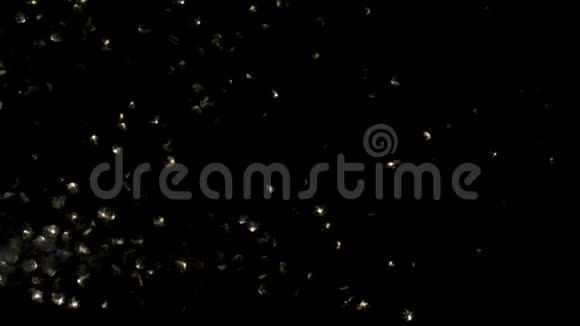 黑色背景下的金色浮动粒子假日圣诞节或新年的抽象粒子视频的预览图