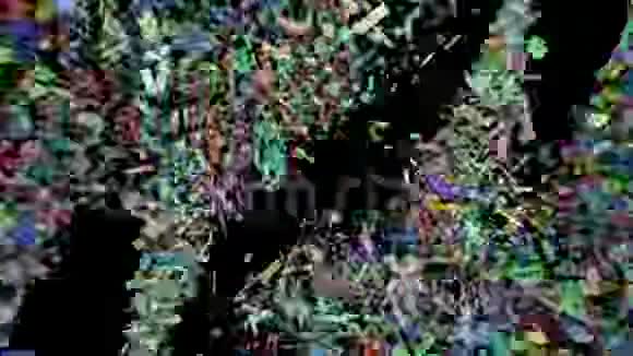 从左右到中不间断的彩色圆锥体视频的预览图