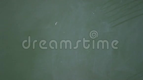 女人用粉笔在黑板上画心视频的预览图