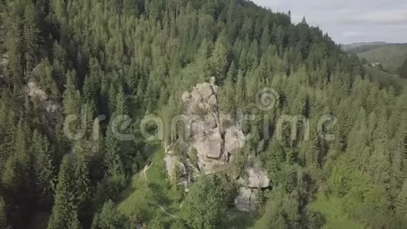 石岩TernoshorskaLada在美丽的喀尔巴阡山森林中科索沃地区伊万诺视频的预览图