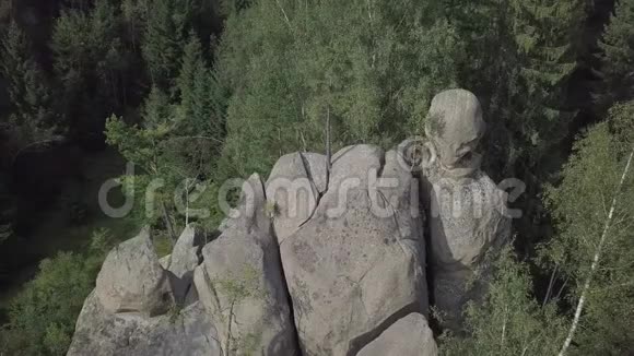 石岩TernoshorskaLada在美丽的喀尔巴阡山森林中科索沃地区伊万诺视频的预览图