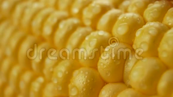 新鲜玉米颗粒上的水滴视频的预览图