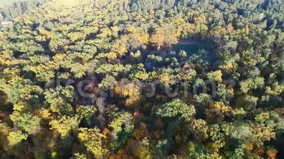 秋天公园里橘黄色树顶的鸟瞰视频视频的预览图