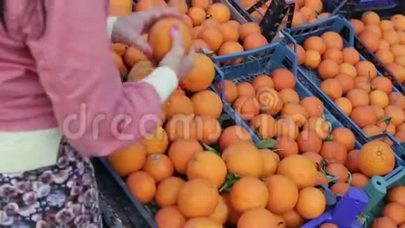 漂亮的女人把橘子放进盒子里大而成熟的橘子放在盒子里视频的预览图