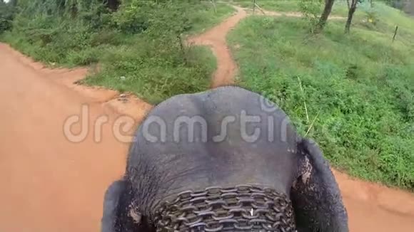 鸟瞰大象乘坐与头部和拍打耳朵链绕脖子缓慢行走视频的预览图