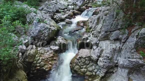 4K野河流淌在阿尔卑斯山脉洁净的碧水和绿林之中特里格拉夫国家公园朱利安阿尔卑斯山博欣吉山谷视频的预览图