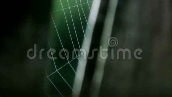 木架上的蛛网颤动视频的预览图