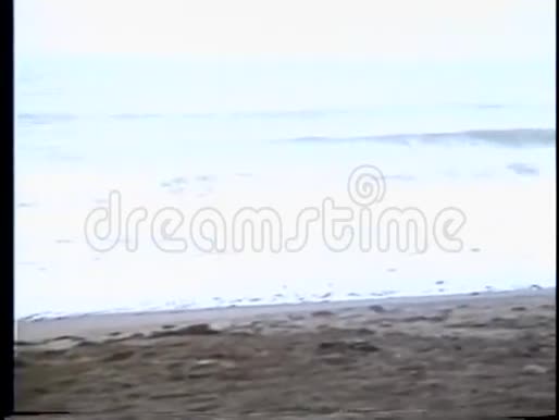 在沙滩上登上钓鱼船视频的预览图