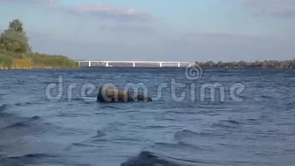 沿着Dnepr河步行靠近大桥视频的预览图