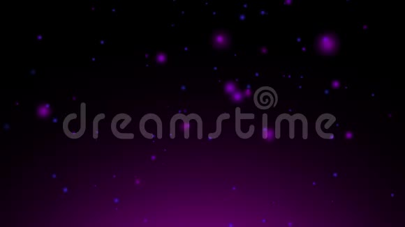 紫色灯光背景视频的预览图