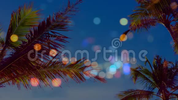 棕榈树围绕着对蓝天的波克效应视频的预览图